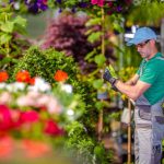 Cultivating Paradise: Unleashing the Magic of Home-Based Gardening and Landscaping